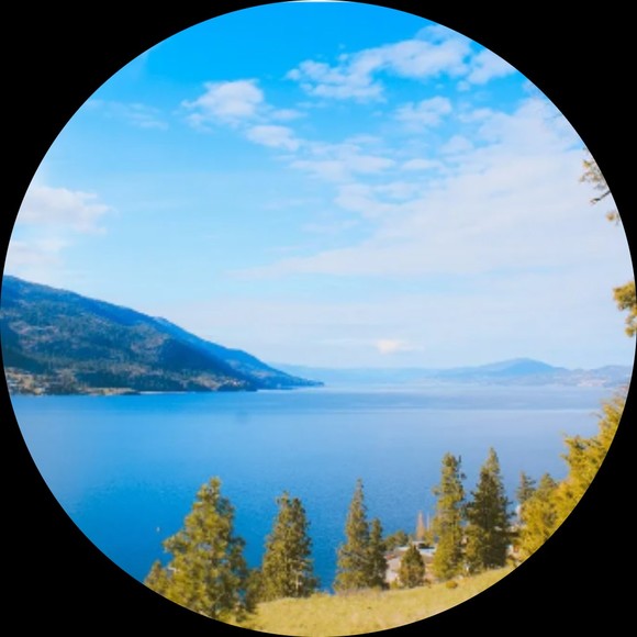 Meet your Posher, Drew - Picture 1 of 1